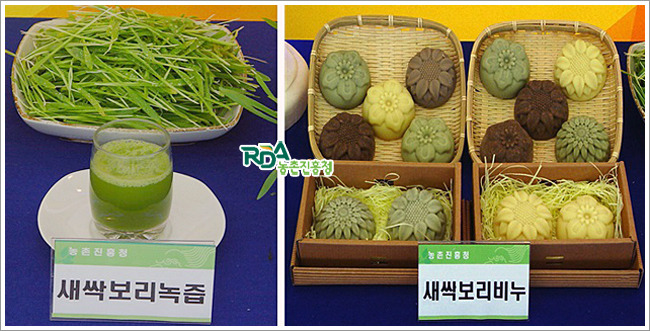 보리순 이미지