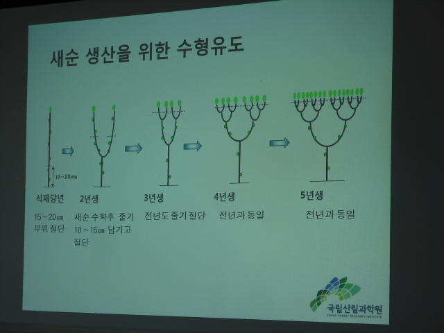 레이호 이미지