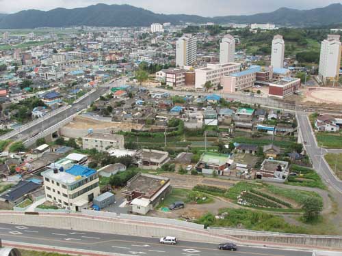중앙초등학교 이미지