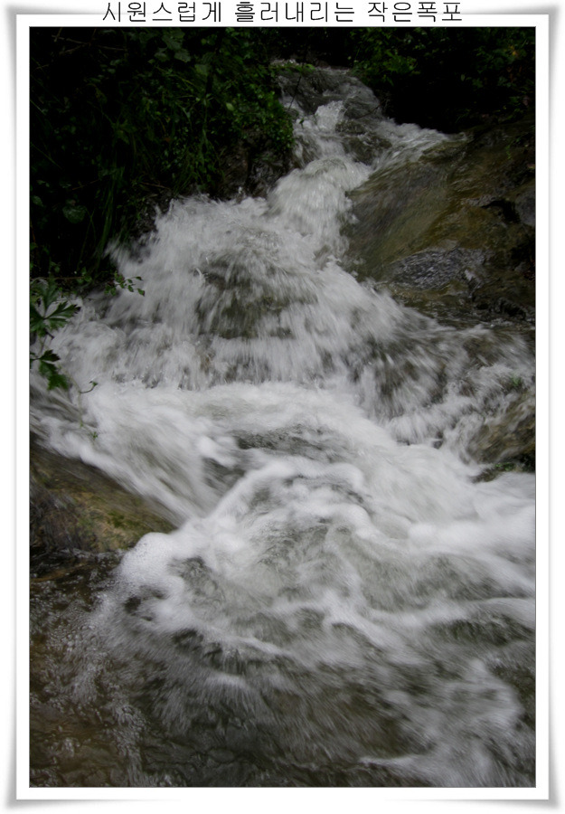 111A86495039ED62291523