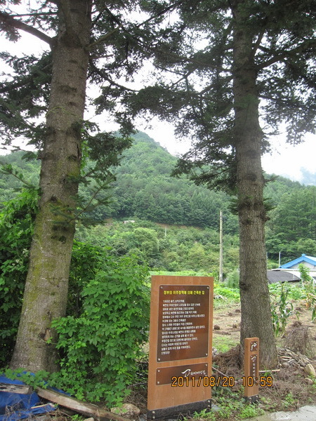 풀내음민박 이미지