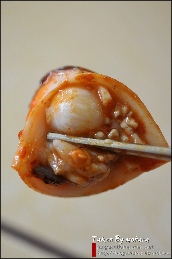서산낙지 이미지