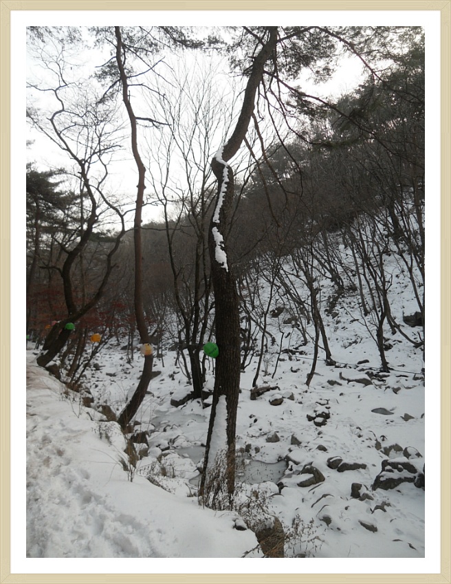 다래향 이미지