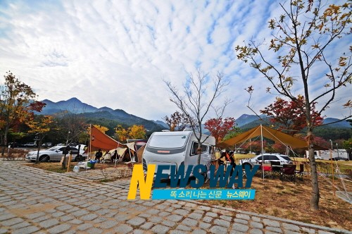 도림사오토캠핑리조트 이미지