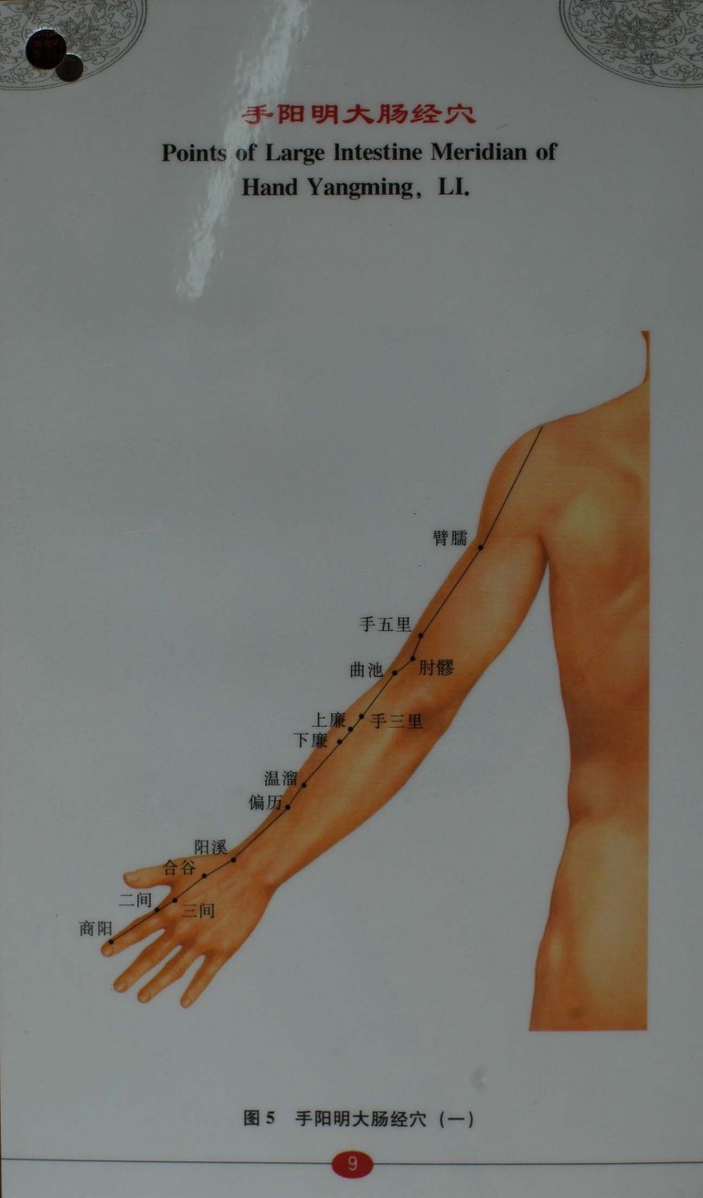  침구경혈자리
