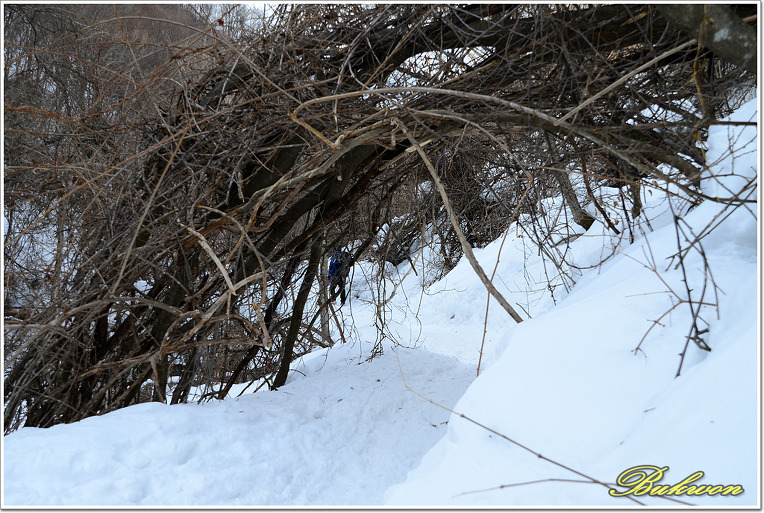 능경봉, 고루포기산 눈꽃산행_20130217