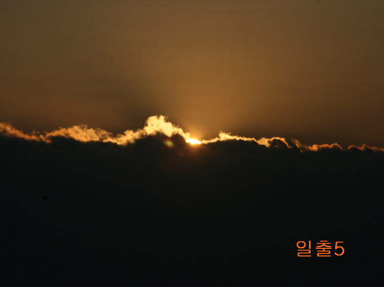 11690E07495C9A75B6506B