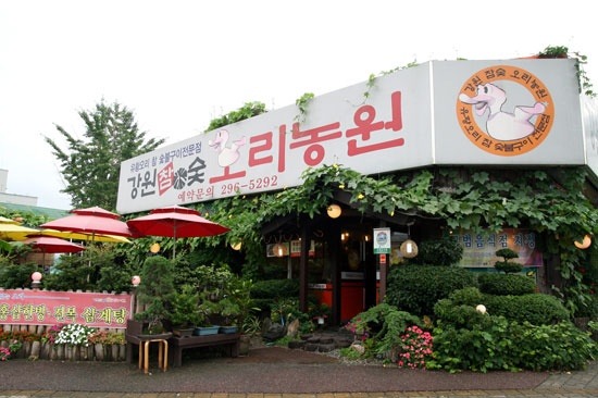 수원꽃농원 이미지