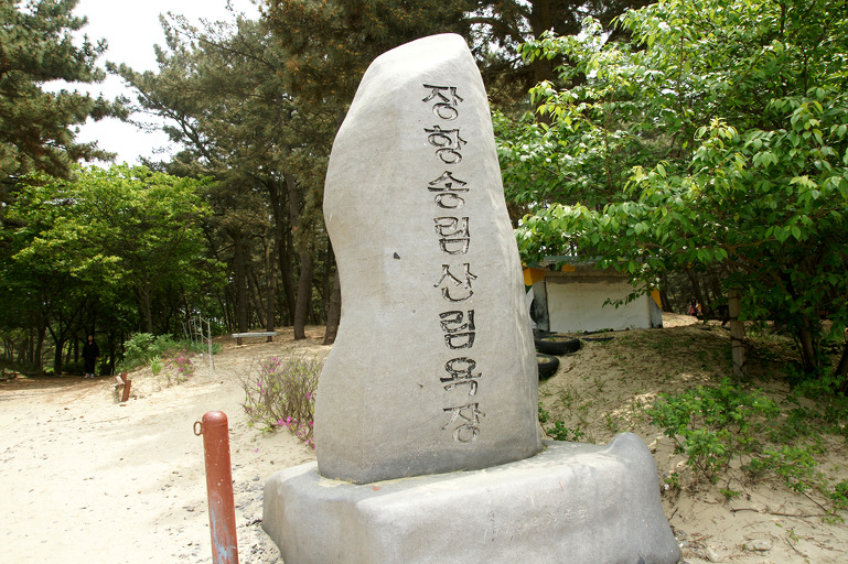 송림향 이미지
