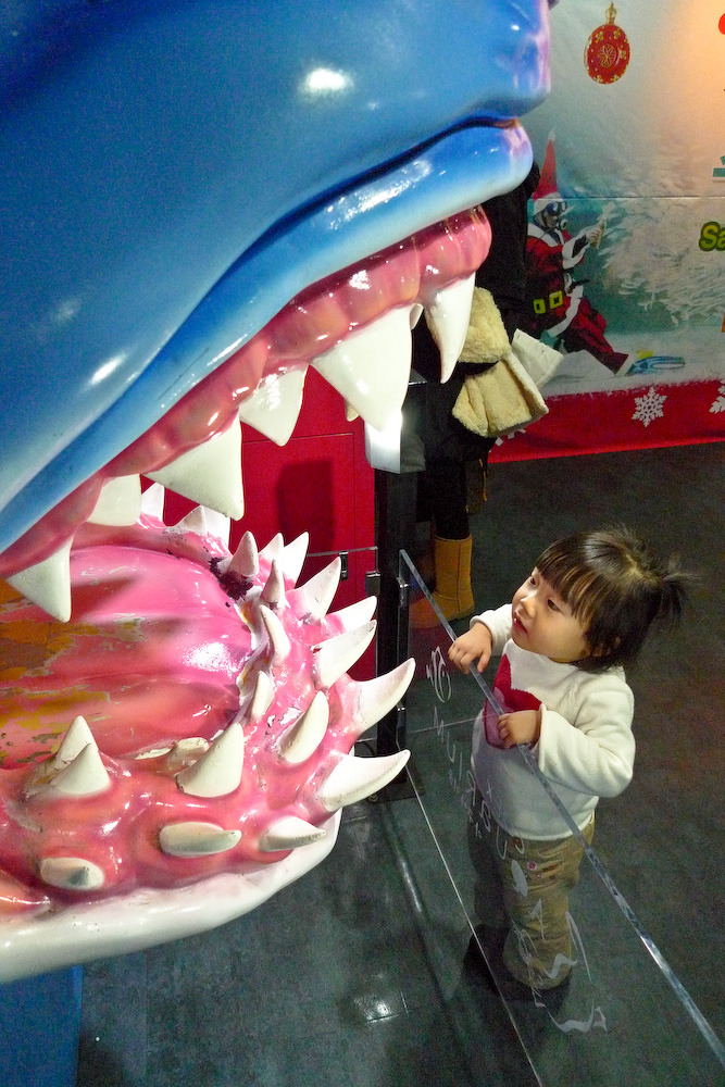 2009/12/13 코엑스 아쿠아리움