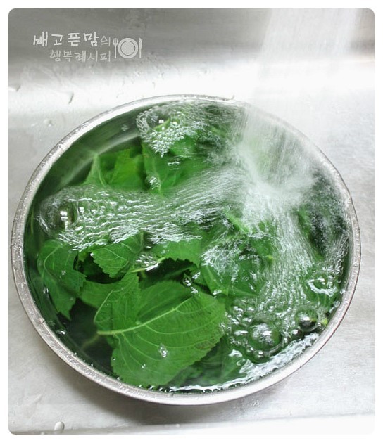 매일반찬 이미지