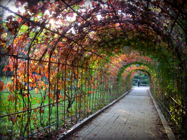 1425FD0B4AE56A1908FCBF