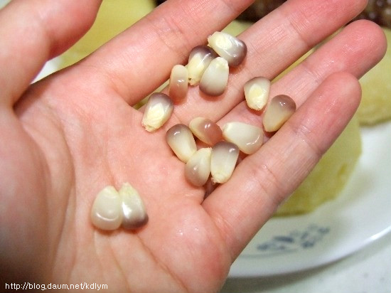 여름철 최고의 간식!! 옥수수와 감자 맛있게 찌는 법