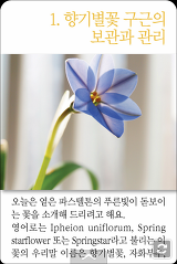 "꽃기린의 미니정원" 카드북으로 새롭게 출시되었습니다.