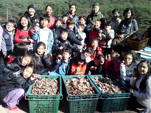 꼬마요리사 이미지
