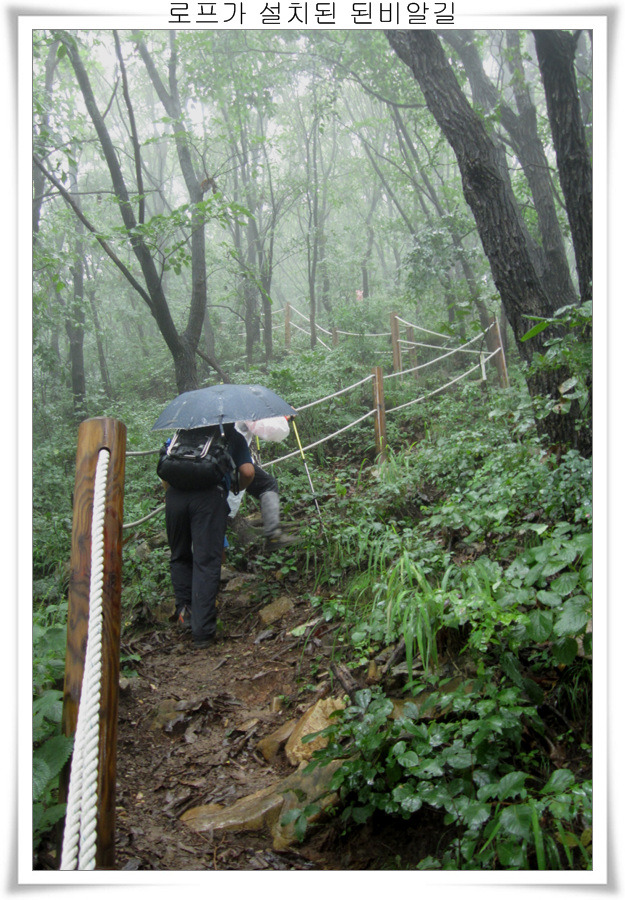 1538AF495039EE5F07D3F8