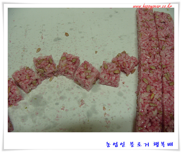 천년초가  어떤 것인가 호기심에 ~~  *^^*