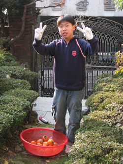 감나무집 이미지