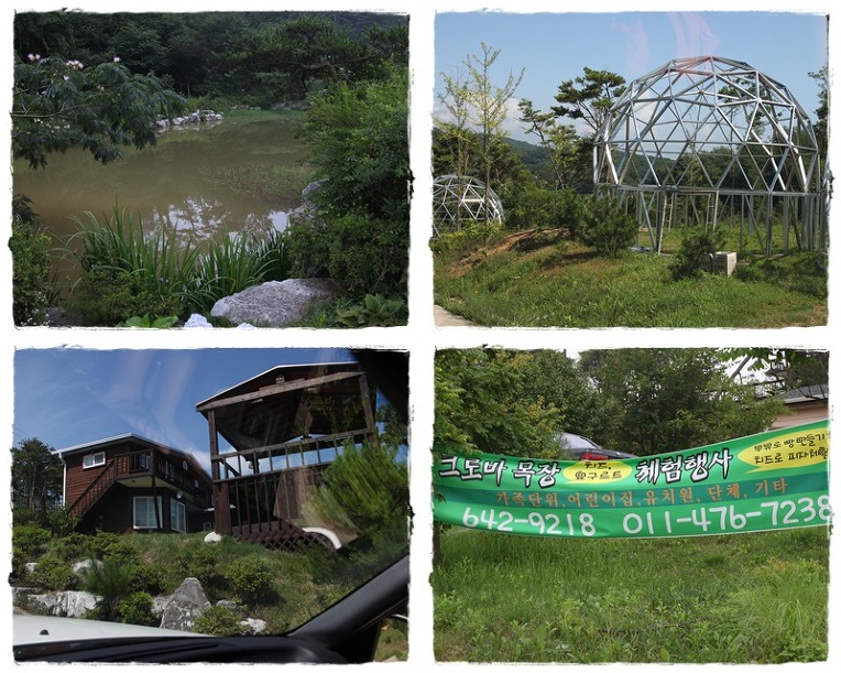 크로바목장체험 이미지