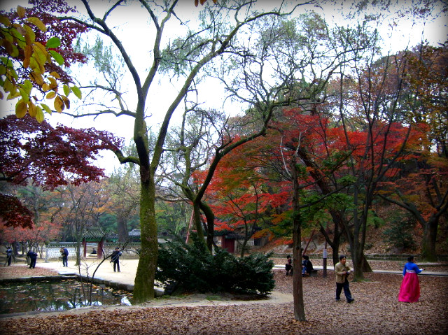 1637101D4AF5B2CC0CF68D