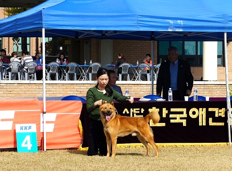 농협안성교육원 이미지