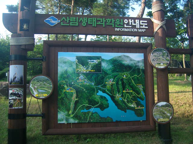 경상북도산림생태과학원 이미지