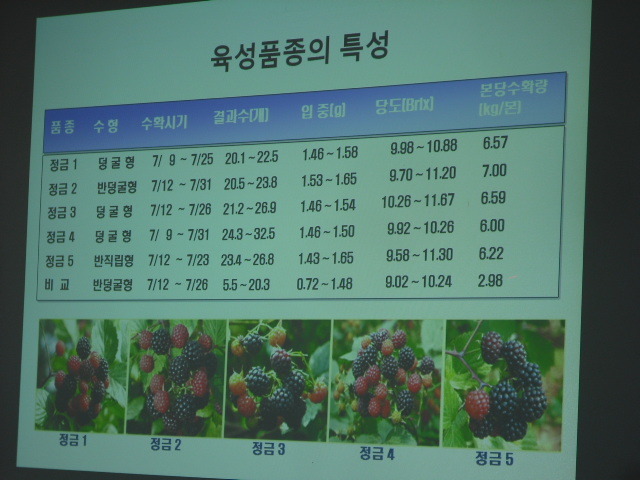 레이호 이미지