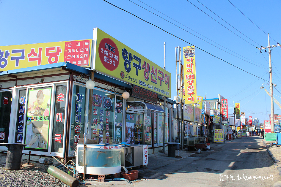 오징어천국 이미지