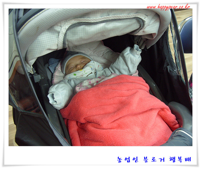 pop ... 이쁜 것은 요것만 아니네요.