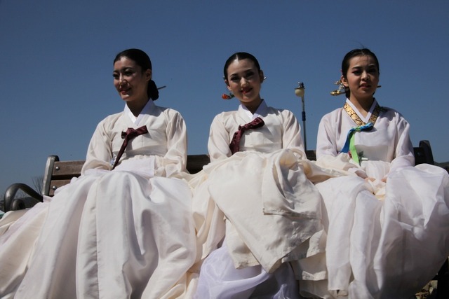 영천 복사꽃 촬영대회