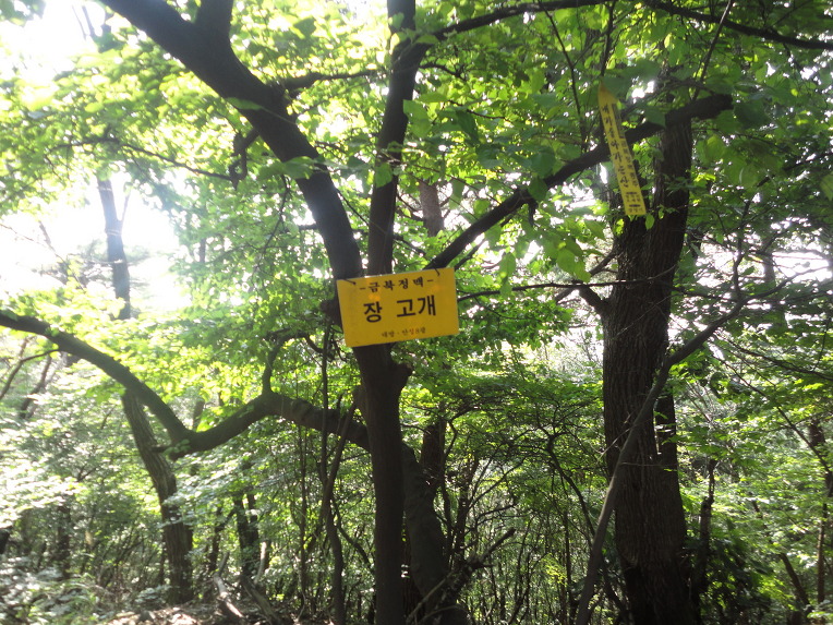 덕성산 정상 이미지