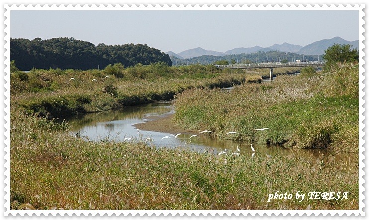 들길따라 이미지