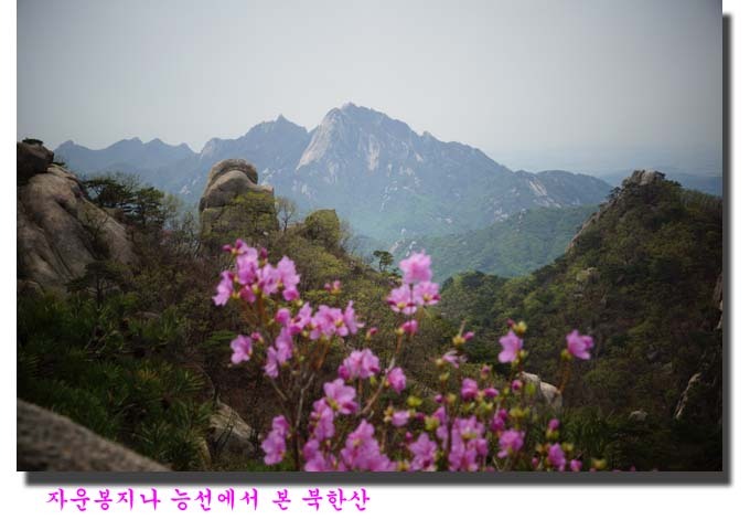 5월의 산행