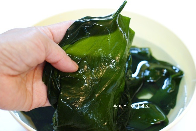 산과 바다 땅의 만남 다시마 두릅말이