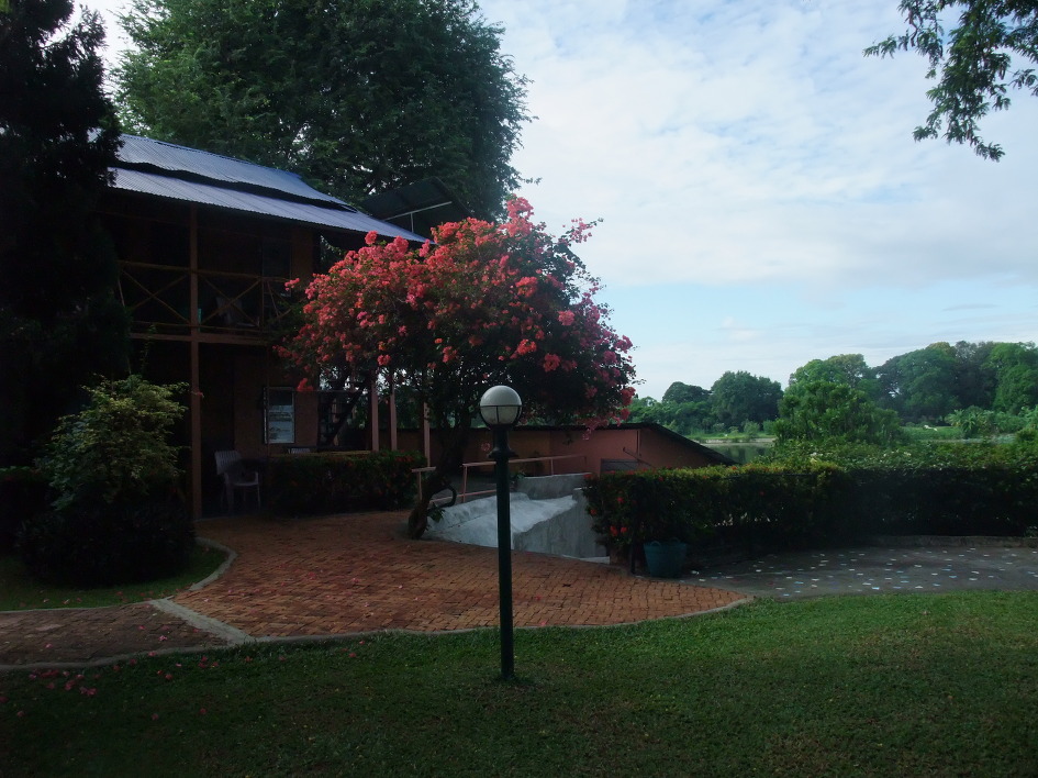 193709504EA13DBF0DD520