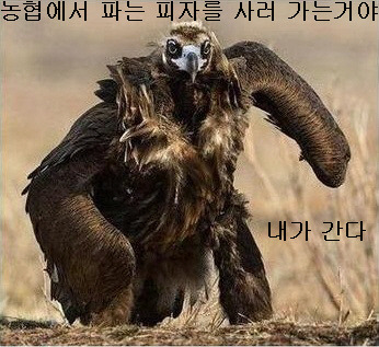 하나로양정 이미지