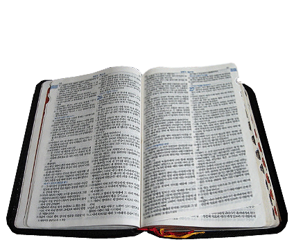 Holy Bible 다국어 성경(온라인 성경)