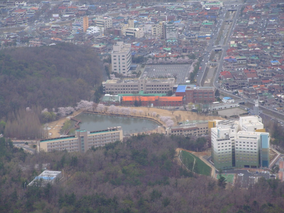 래핀 이미지
