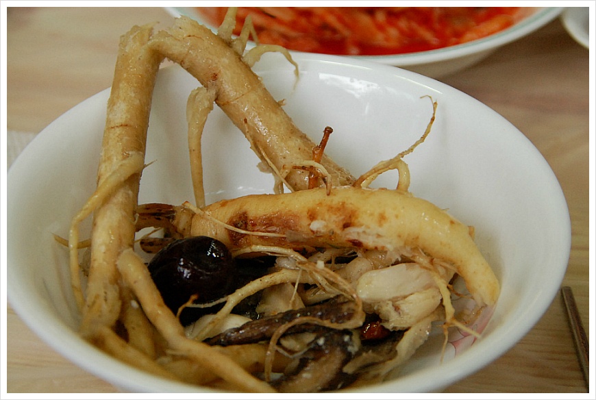 [충남 공주맛집] 양달가든 토종닭 백숙 양에 놀라고 맛에 놀라고 - 양달가든