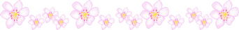 205145504F5DDF3726AEA5