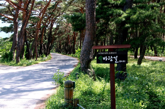 명승테크 이미지