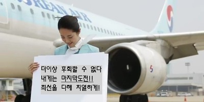 스카이윙 이미지