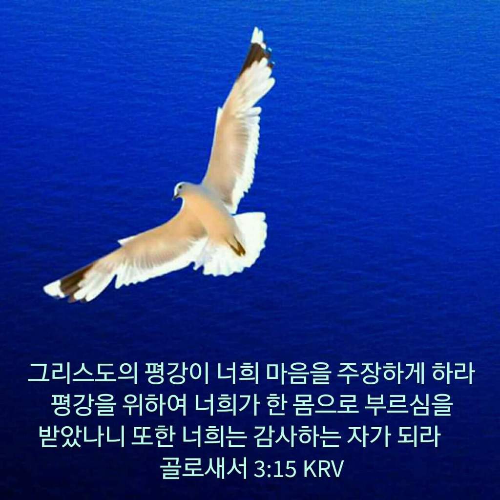 삶에 힘이되는 은혜로운 성경말씀 모음(+) 사진첨부