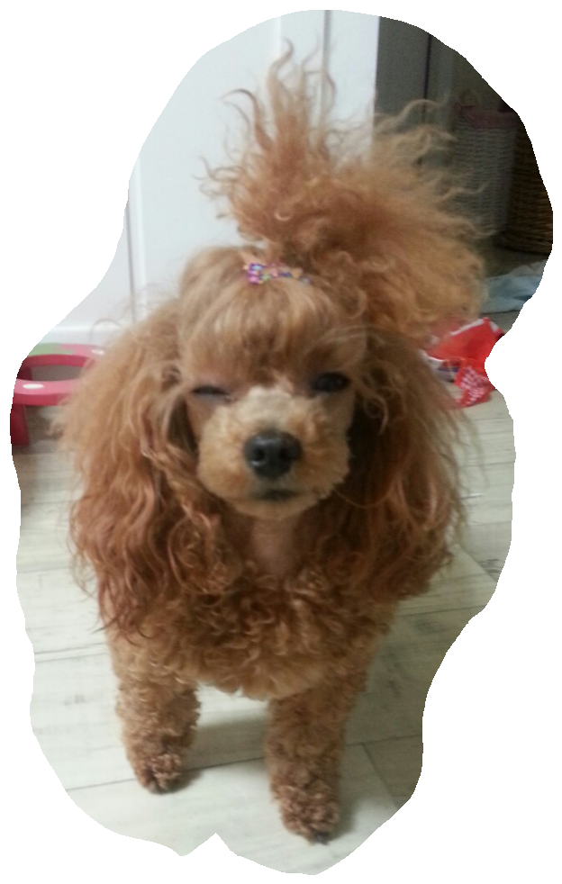 블로그 이미지