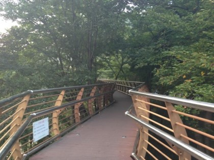 대전둘레길만인산 이미지