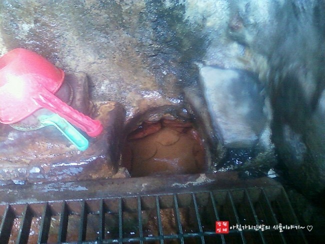 밥이야기 이미지