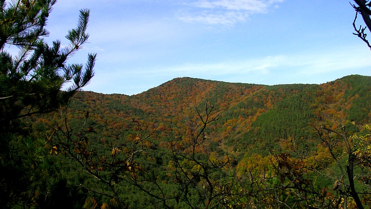 224FB846546727F232DF58