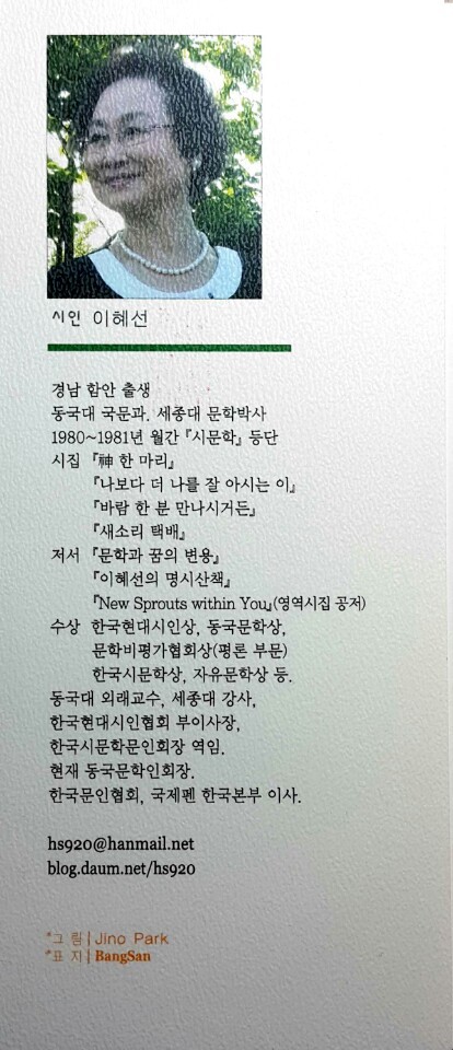 소리도서 이미지