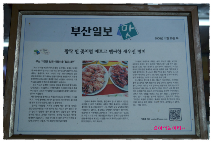 황금새우 이미지