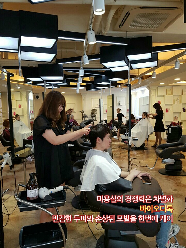 자르다헤어 이미지